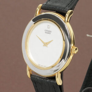 citizen bicolormodell 2 3532.jpg